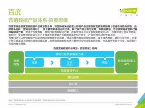 中國數(shù)據(jù)驅(qū)動型互聯(lián)網(wǎng)企業(yè)大數(shù)據(jù)產(chǎn)品研究報告 軟件外包服務(wù)的革新之路