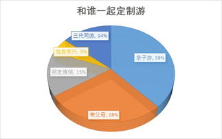 電子商務(wù)與互聯(lián)網(wǎng)數(shù)據(jù)中心 199it軟件外包服務(wù)的價值與影響